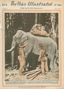 elephant in service