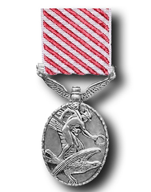 Air Force Medal (AFM).