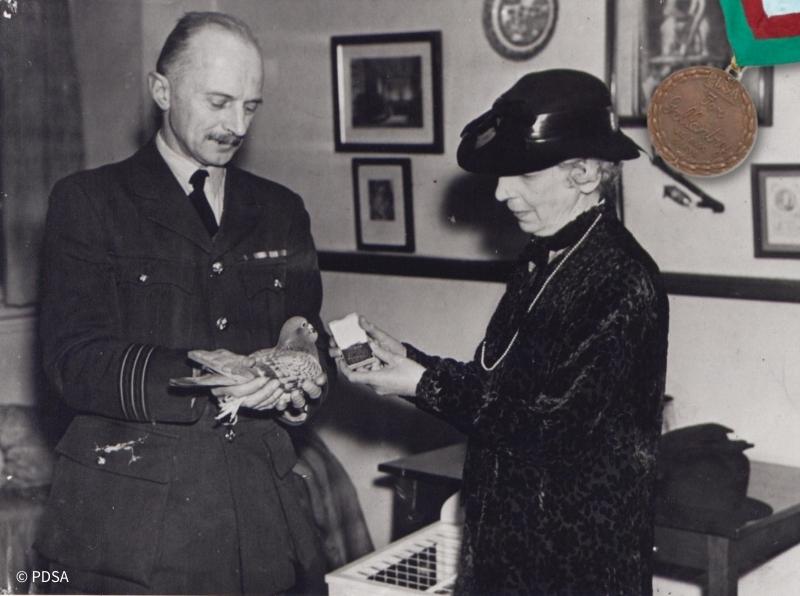 Winkie the pigeon receiving the Dickin Medal from PDSA founder Maria Dickin on 2 December 1943. The image shows a uniformed officer of the RAF holding the pigeon while Maria Dickin presents the medal in a box. © PDSA